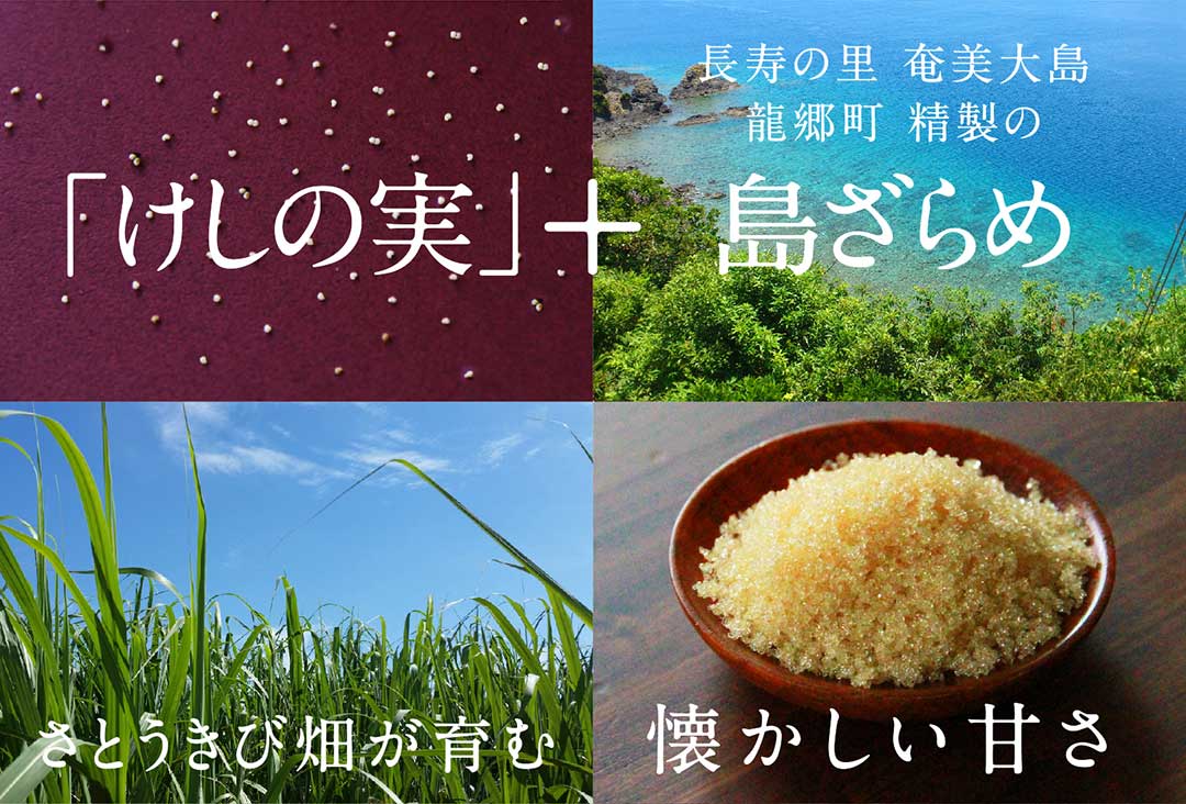 奄美大島　龍郷町の島ざらめ